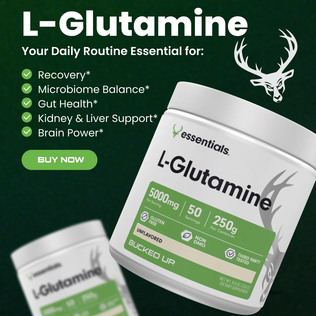 L-Glutamine- Text reads "L-Glutamine, your daily routine essential for: recovery, microbiome balance, gut health, kidney and liver support, brain power" Button Reads "Buy now" Image is green with 2 bottles of L-Glutamine Powder